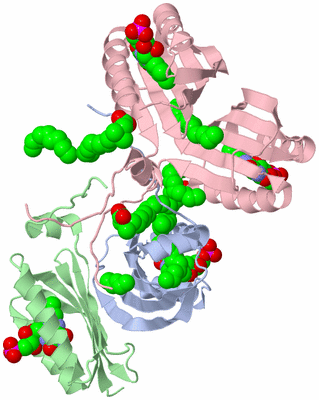 Image Biological Unit 3