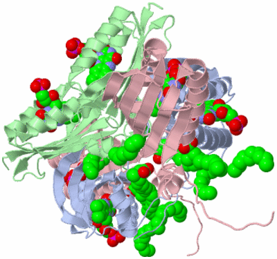 Image Biological Unit 4