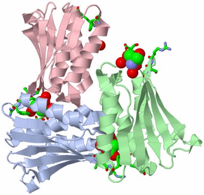 Image Asym./Biol. Unit - sites