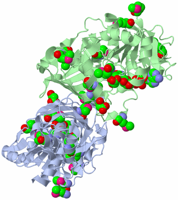 Image Biological Unit 1