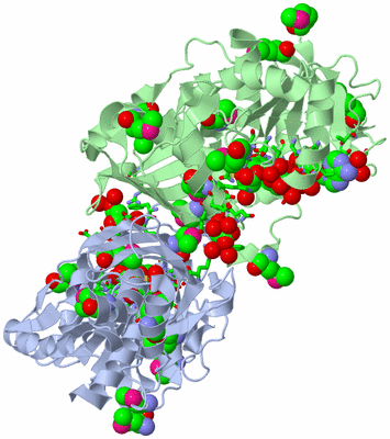 Image Biol. Unit 1 - sites