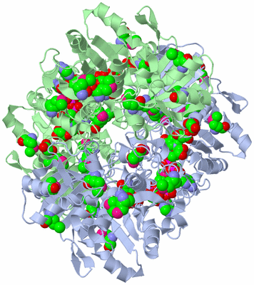 Image Biological Unit 2