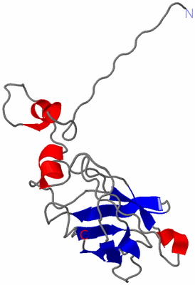 Image NMR Structure - model 1