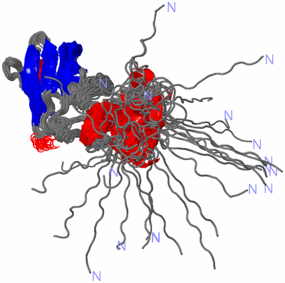 Image NMR Structure - all models