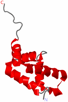Image NMR Structure - model 1