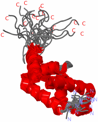 Image NMR Structure - all models