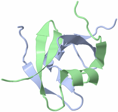 Image NMR Structure - model 1