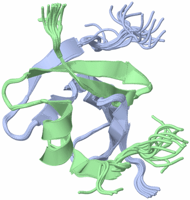 Image NMR Structure - all models