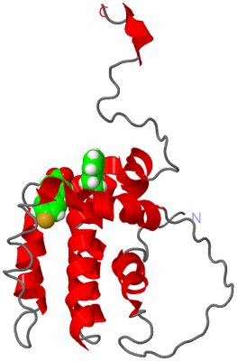 Image NMR Structure - model 1