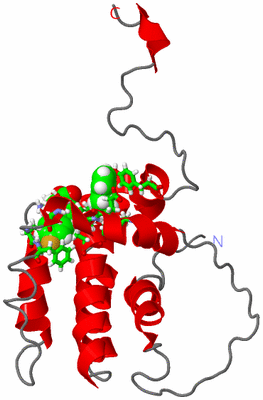 Image NMR Structure - model 1, sites