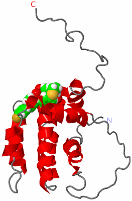 Image NMR Structure - model 1