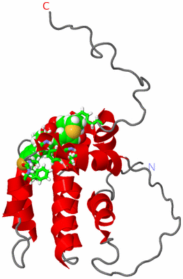 Image NMR Structure - model 1, sites