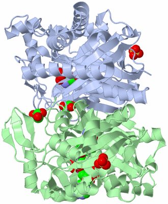 Image Asym./Biol. Unit