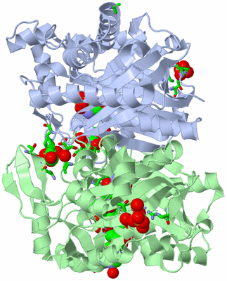 Image Asym./Biol. Unit - sites