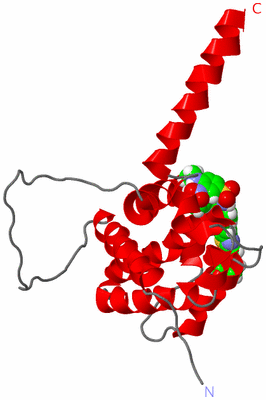 Image NMR Structure - model 1