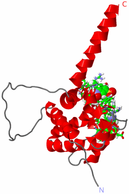 Image NMR Structure - model 1, sites