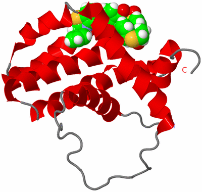 Image NMR Structure - model 1