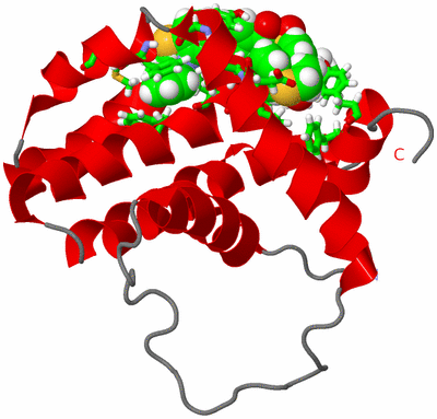 Image NMR Structure - model 1, sites