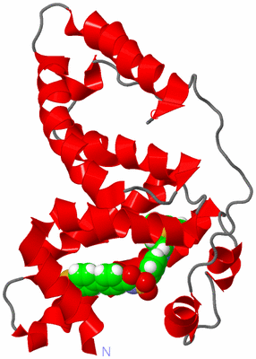 Image NMR Structure - model 1