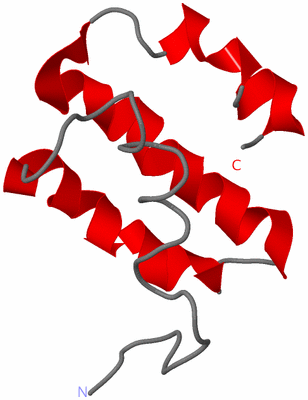 Image NMR Structure - model 1