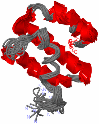 Image NMR Structure - all models