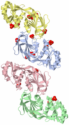 Image Asymmetric Unit