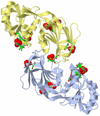 Image Biol. Unit 1 - sites