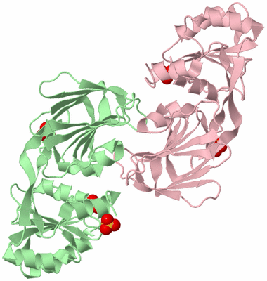 Image Biological Unit 2