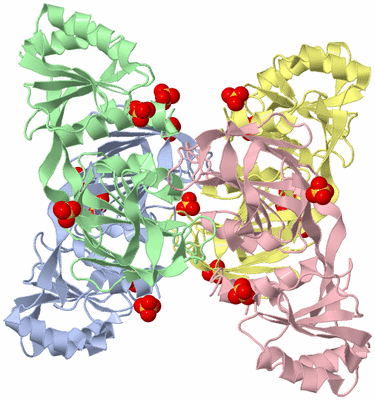 Image Biological Unit 3