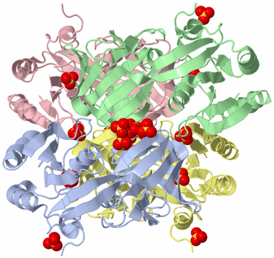 Image Biological Unit 4