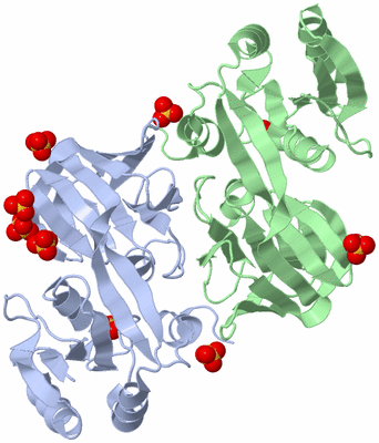 Image Biological Unit 5