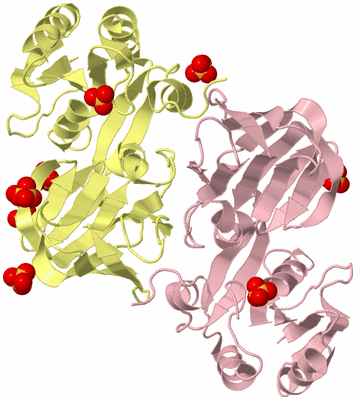 Image Biological Unit 6