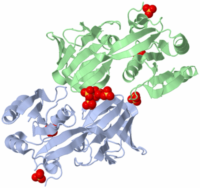 Image Biological Unit 7