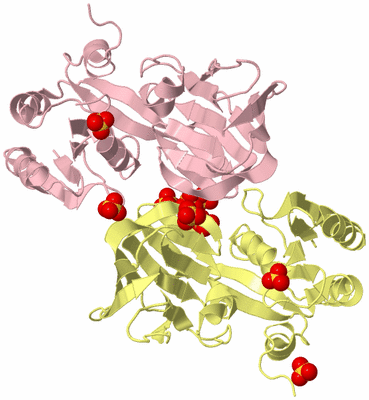 Image Biological Unit 8