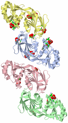 Image Asym. Unit - sites