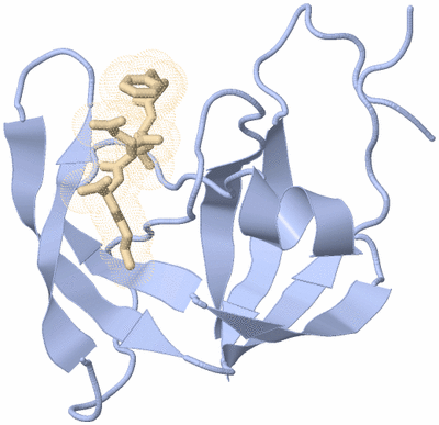 Image Asymmetric Unit