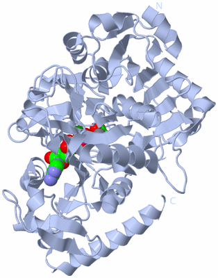 Image Biological Unit 1