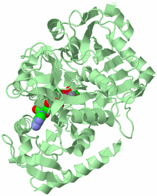 Image Biological Unit 2