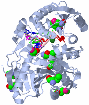 Image Biological Unit 1