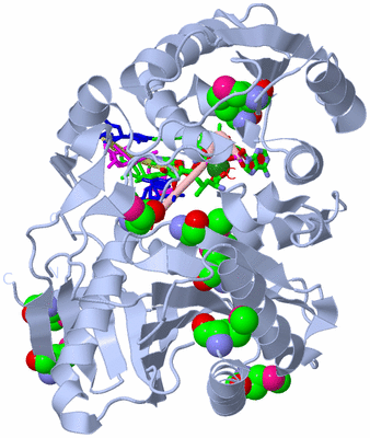 Image Biol. Unit 1 - sites