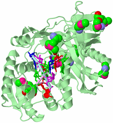 Image Biological Unit 2