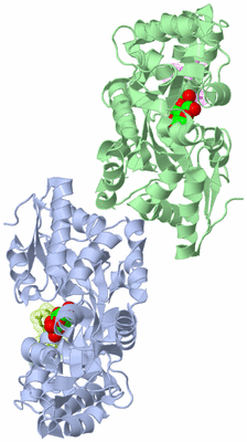 Image Asym./Biol. Unit