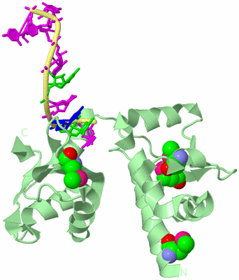 Image Biological Unit 2