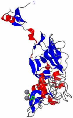 Image Asym. Unit - sites