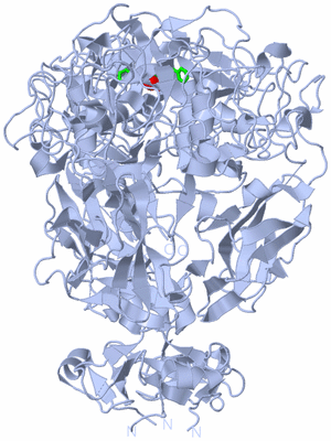 Image Biol. Unit 1 - sites