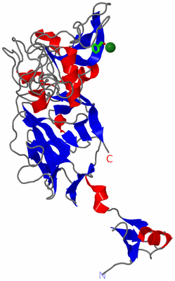 Image Asym. Unit - sites