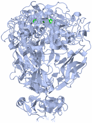 Image Biol. Unit 1 - sites