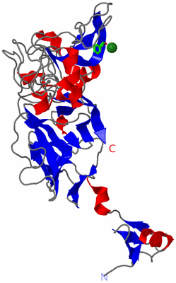 Image Asym. Unit - sites