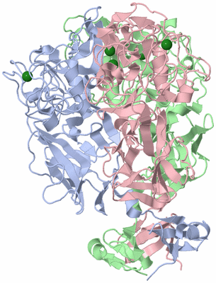 Image Asym./Biol. Unit