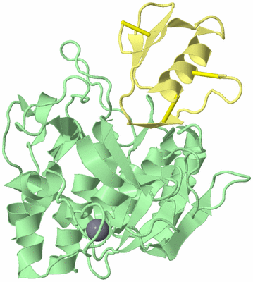 Image Biological Unit 2